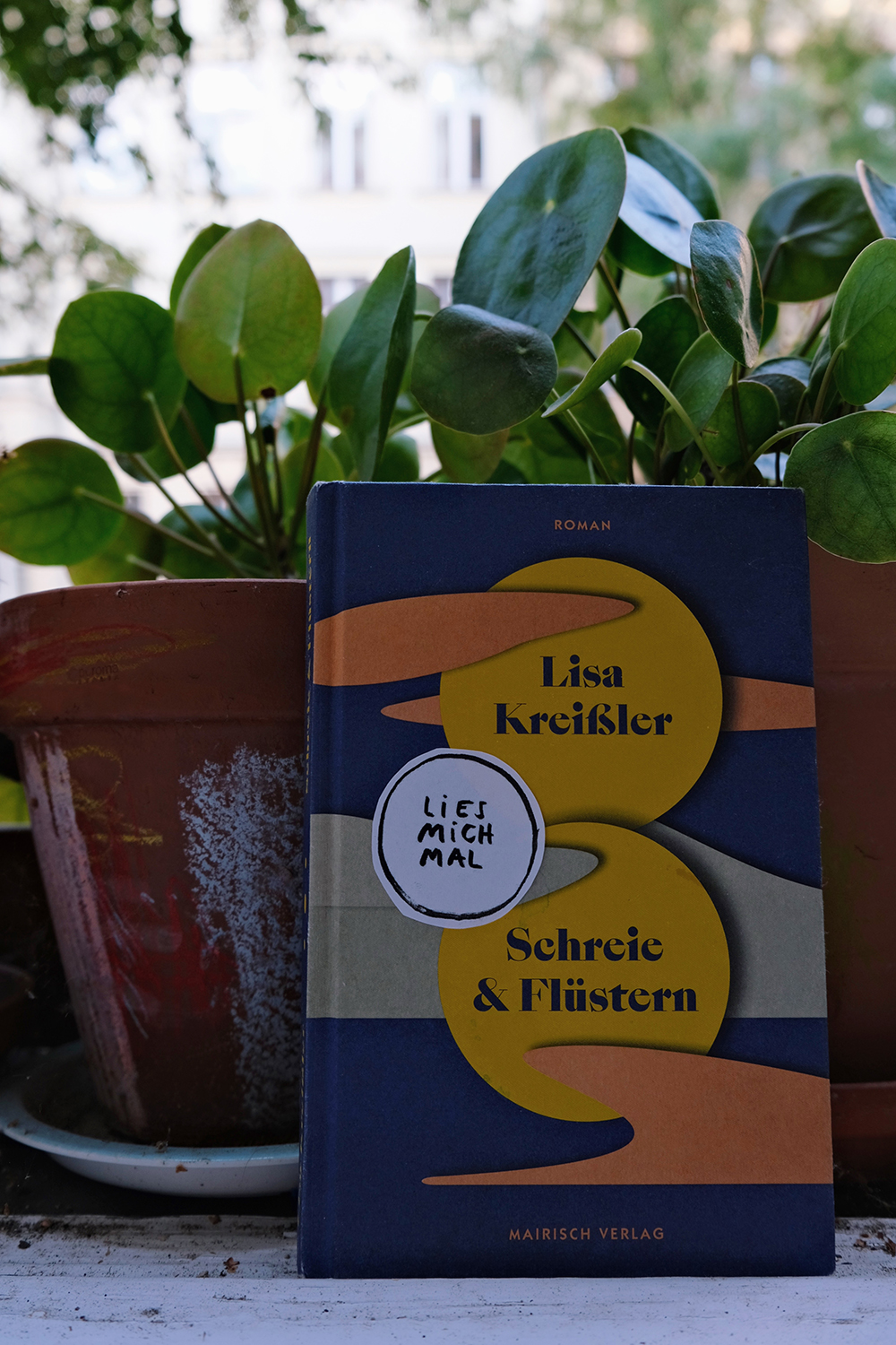 Studio Hatfield ©2025 Studio Hatfield ©2025