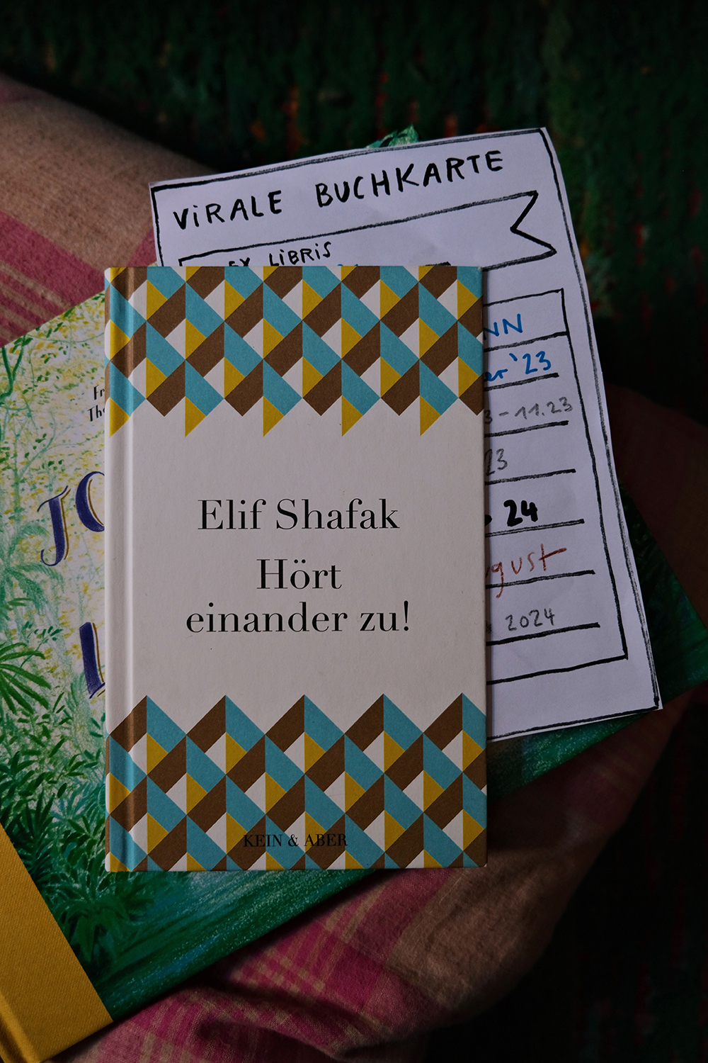 Studio Hatfield ©2025 Studio Hatfield ©2025